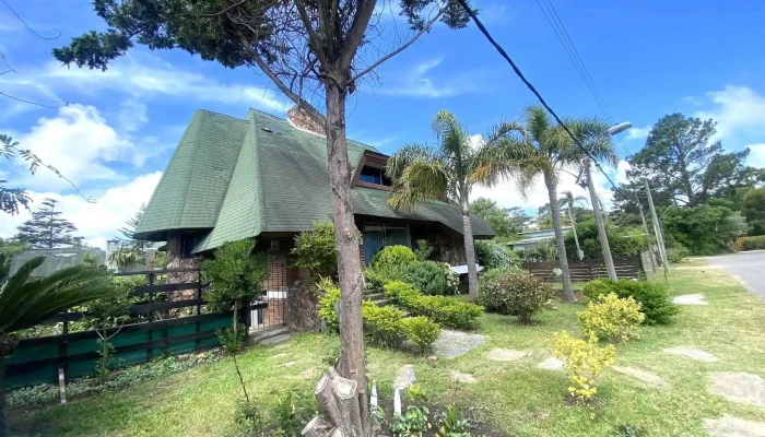 Palmeras Del Verdun De Los Visitantes - Punta del Este