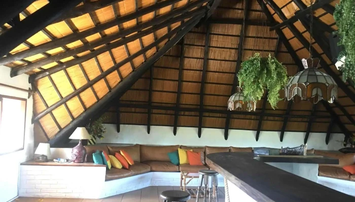 Palmeras Del Verdun Del Propietario - Punta del Este