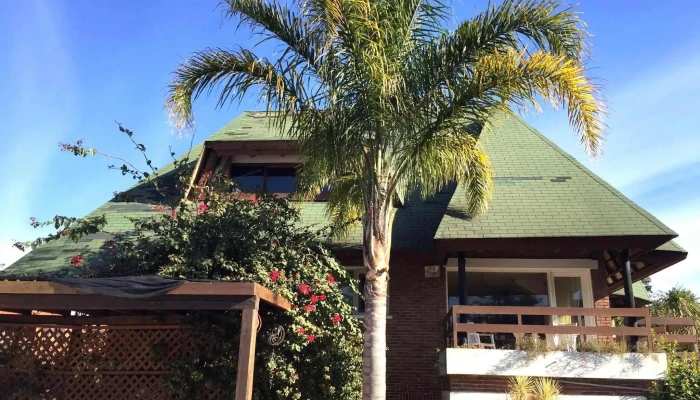 Palmeras Del Verdun Todas - Punta del Este