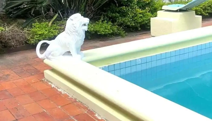 Palmeras Del Verdun Videos - Punta del Este