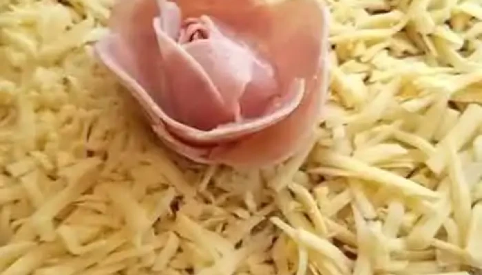 Panaderia Argentina Mas Recientes - Montevideo