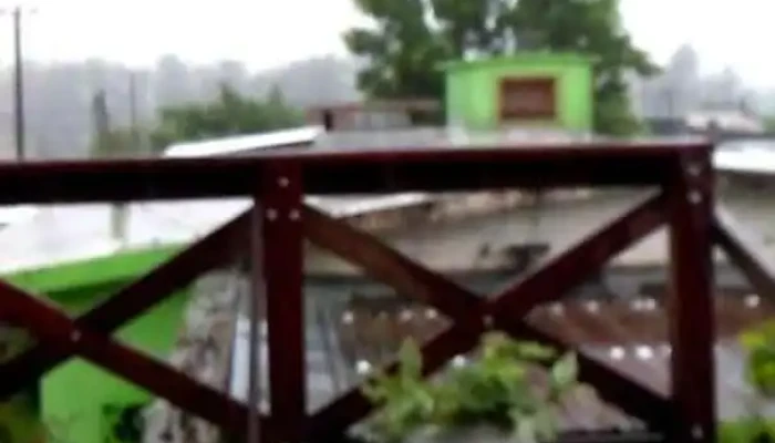 Panaderia Ayui Videos - Artigas