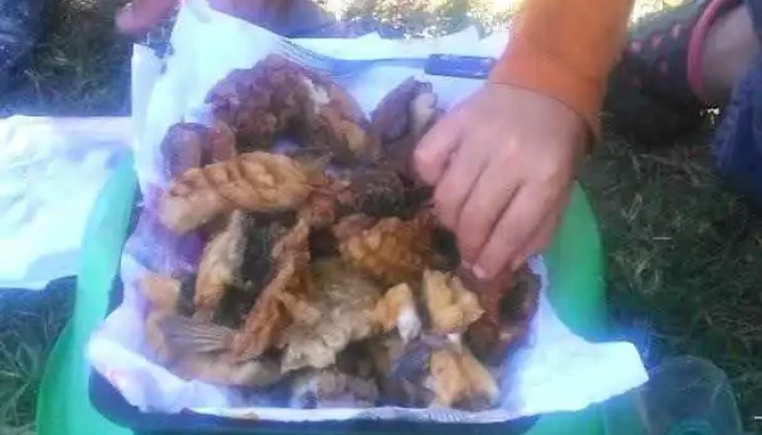 Panaderia El Artesno -  Todas - Departamento de Canelones