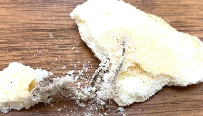 Panaderia Hernandez Hnos Comentario 2 - Libertad