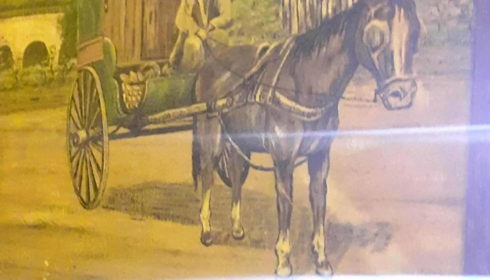 Panaderia La 19 Comentario 1 - Castillos