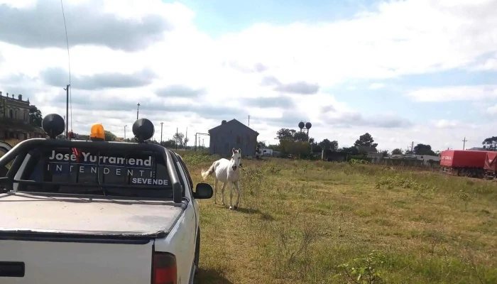 Panaderia La Familia Comentario 5 - Rio Branco