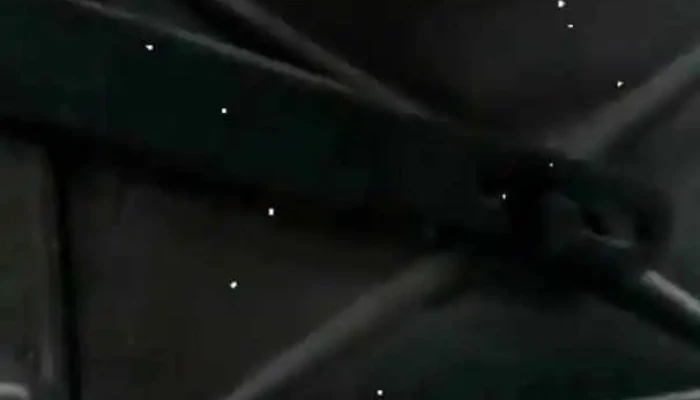 Panaderia La Nueva Fenix Videos - Montevideo