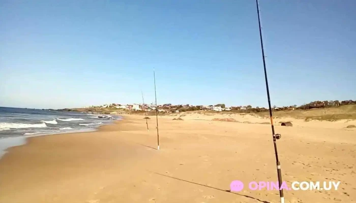 Panaderia Mi Pan Videos - Piriápolis