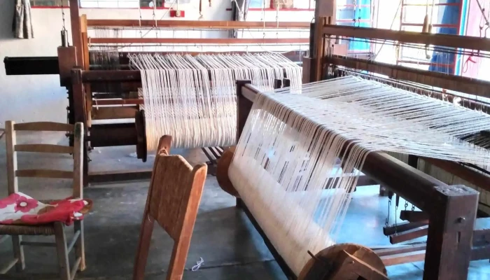 Panaderia Progreso 589 Bis Guichon -  Ambiente - Guichón