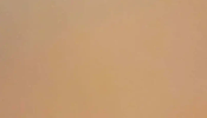 Panaderia Rumbo Al Este Videos - Atlántida