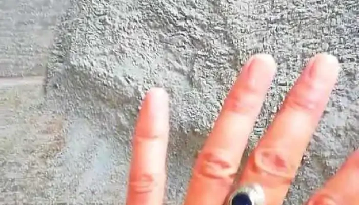 Panaderia Tentaciones Videos - San Carlos