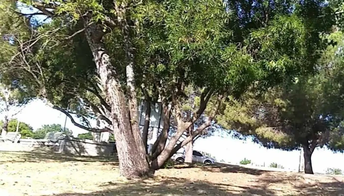 Panaderia Y Autoservice Cheveste Todo - Nuevo Berlín