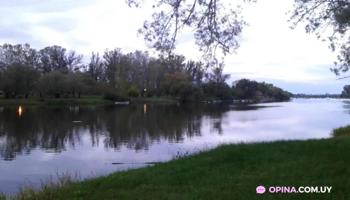 Panaderia Y Confiteria Suspiros Todas - Mercedes