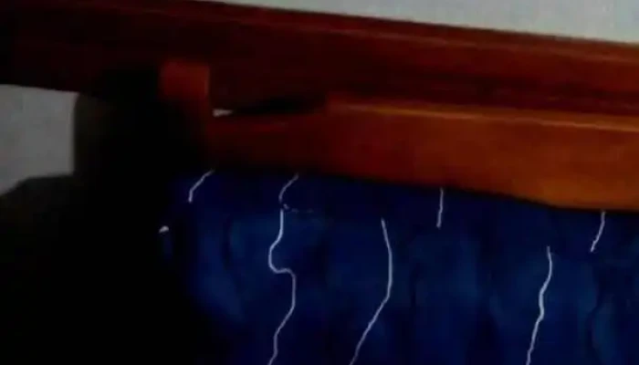 Panaderia Y Confiteria Suspiros Videos - Mercedes