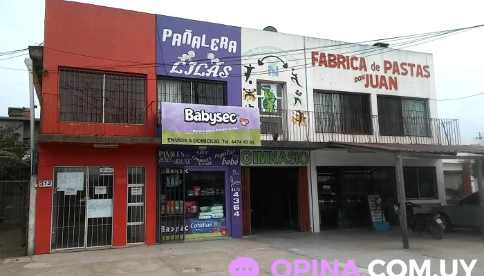 Pañalera Lilas - 27100 Chuy