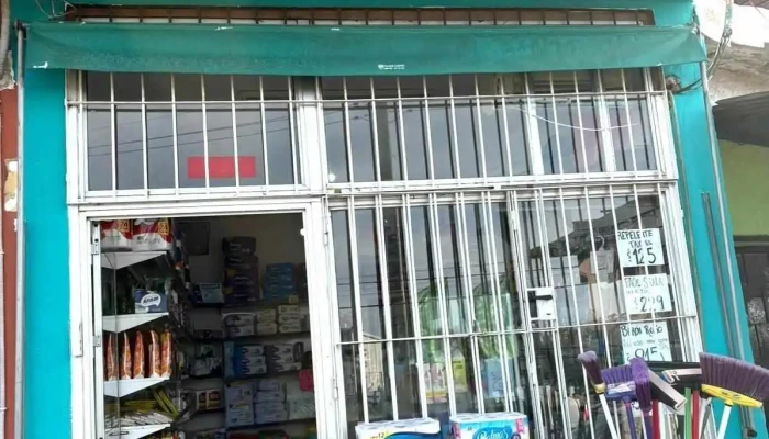 Panalera Lilibel Del Propietario - Barros Blancos