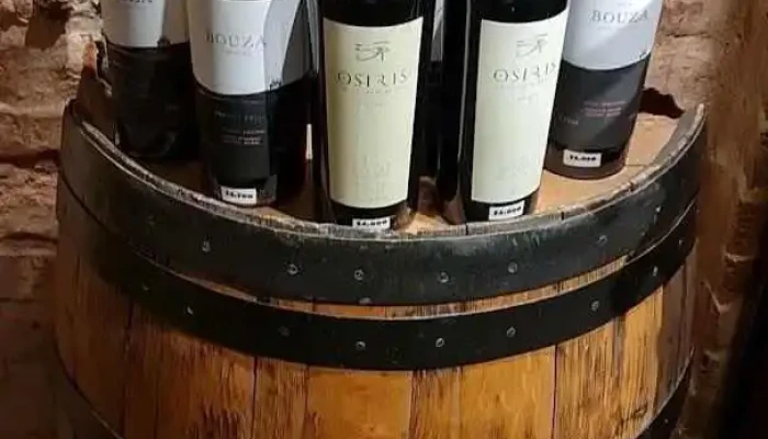 Paninis Videos - Montevideo