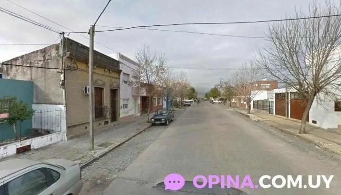 Panoja Dorada - 33000 Treinta Y Tres