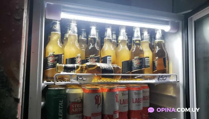 Pantera Rosa - Artigas