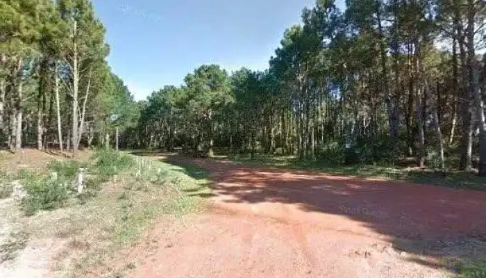 Pao -  Todo - Maldonado