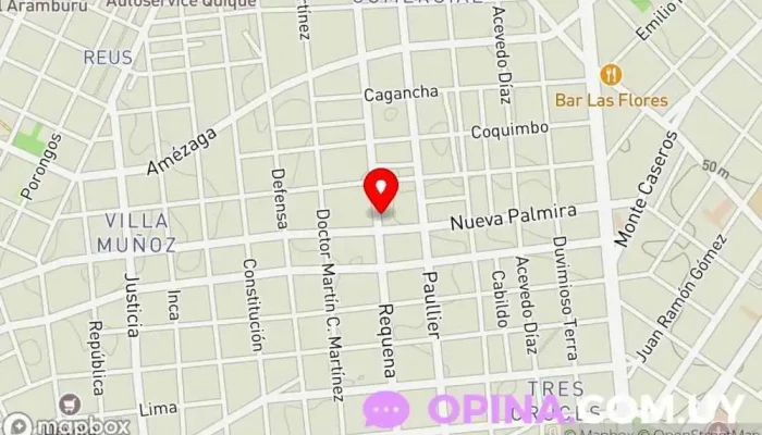 mapa de Paola Iglesias Bienes Raíces Agencia inmobiliaria en Montevideo