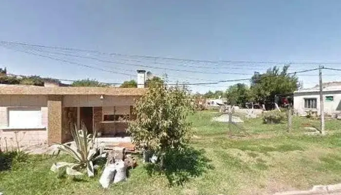 Papa -  Catalogo - Bella Unión