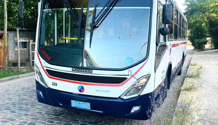 Papeleria Albe Ltda -  Telefono - Montevideo