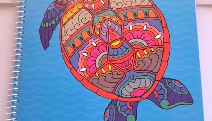 Papeleria Angels Del Propietario - Montevideo