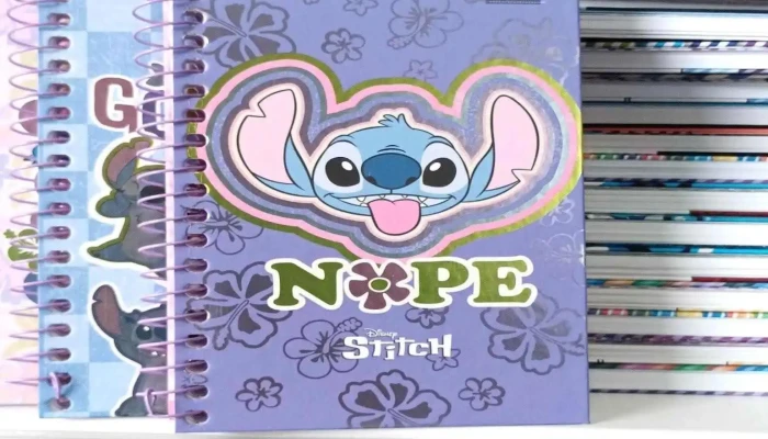 Papeleria Azul -  Interior - Rocha