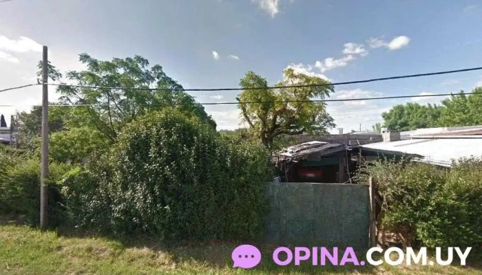 Papelería Diamantina - Young