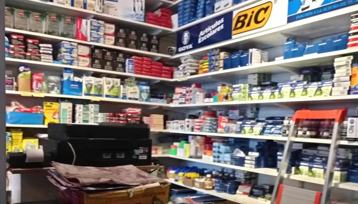 Papeleria Dispa Sitio Web - Maldonado