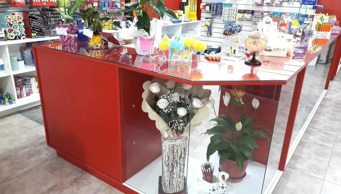 Papeleria El Maestro Interior - Treinta y Tres