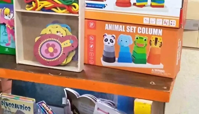 Papeleria El Maestro Videos - Treinta y Tres