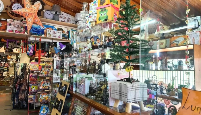 Papeleria Ensuenos Interior - Maldonado