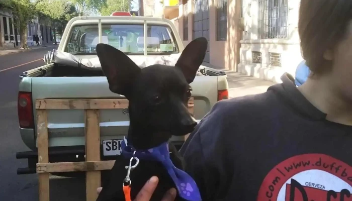 Papeleria Goya Telefono - Montevideo