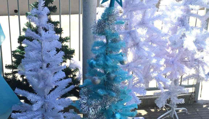 Papeleria Jarque Hnos -  Interior - Montevideo