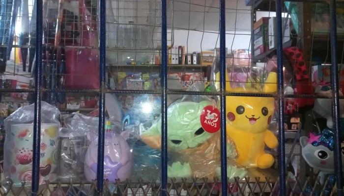 Papeleria Juguetera Y Salon Felix Interior - La Paz