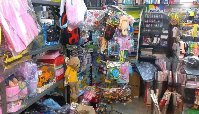 Papeleria Juguetera Y Salon Felix Ubicacion - La Paz