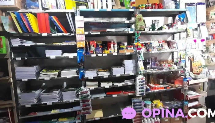 Papeleria Jugueteria Y Bazar Los Minions Interior - Montevideo