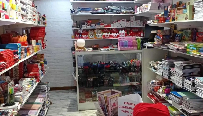 Papeleria La Ideal -  Del Propietario - Maldonado