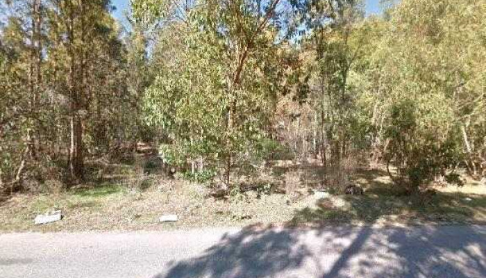 Papeleria La Ideal -  Puntajedeg - Maldonado