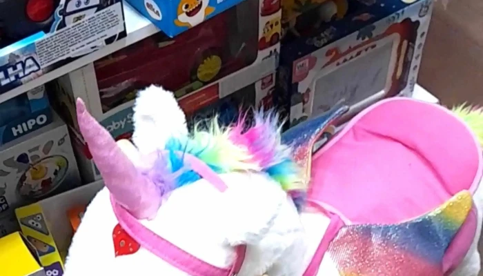 Papeleria Le Stylo -  Como Llegar - San Carlos