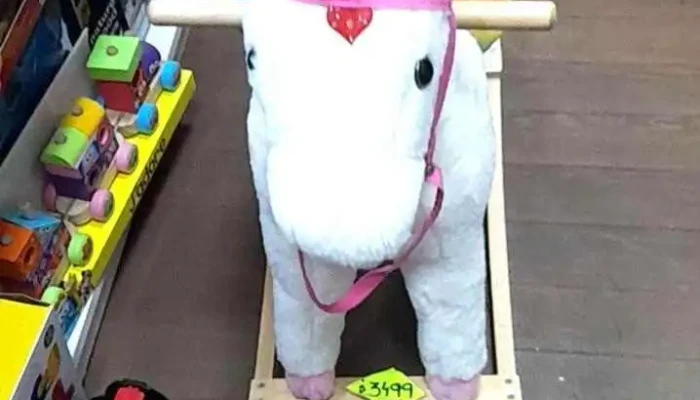 Papeleria Le Stylo -  Videos - San Carlos