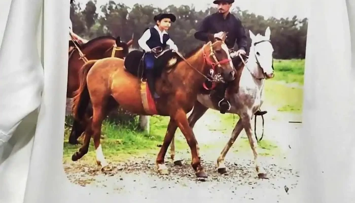 Papeleria Libelula Direccion - Minas