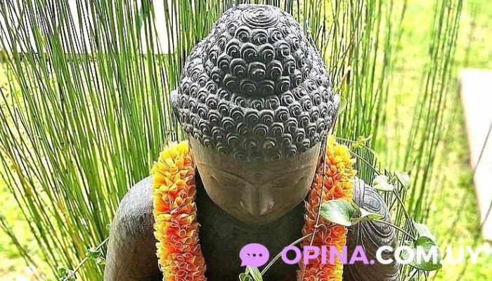 Papeleria Libra Numero - Ciudad de la Costa