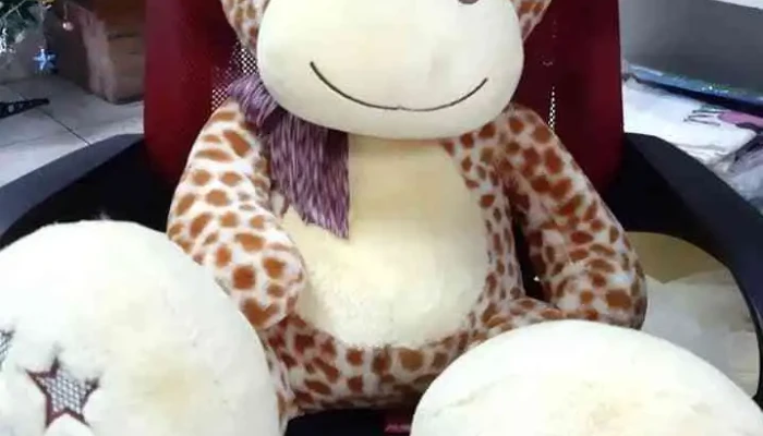 Papeleria Lo De Mary Donde - Melo