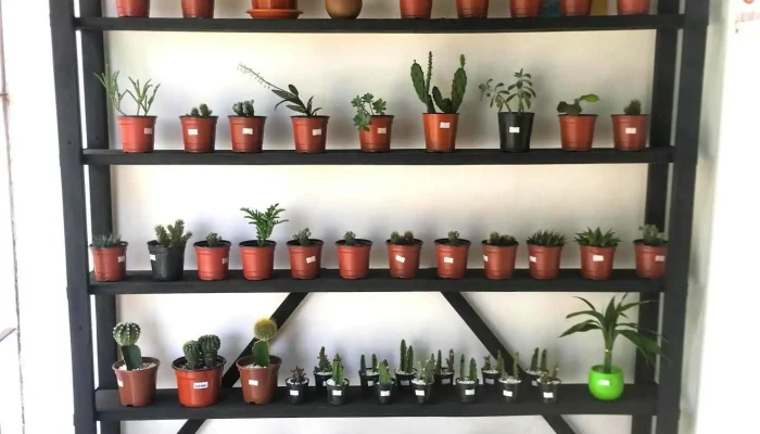 Papeleria Lo De Mary Interior - Melo