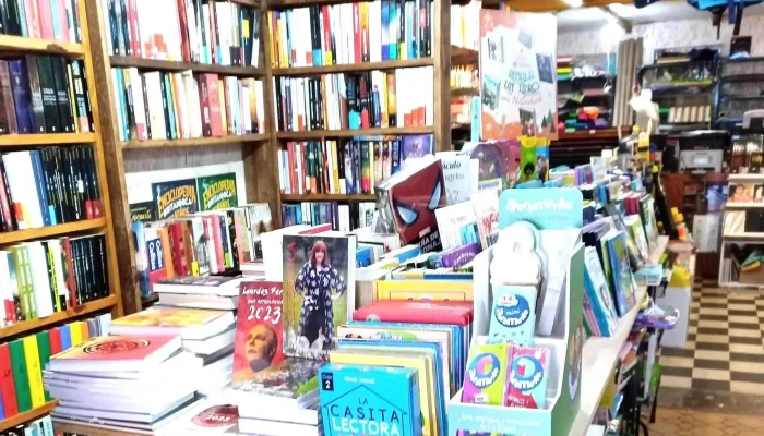 Papeleria Lo De Willy -  Sitio Web - Tala