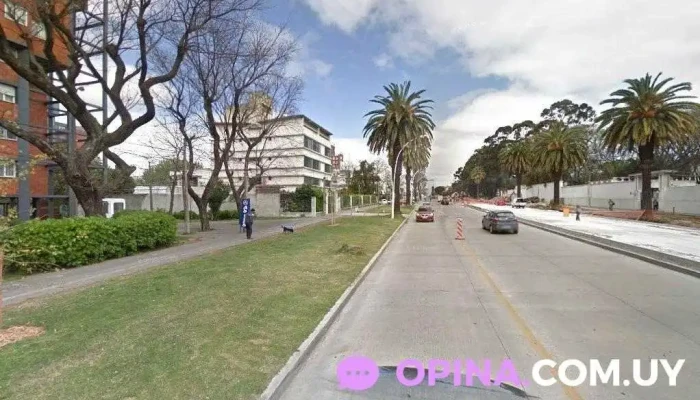 Papeleria Madelu - Montevideo