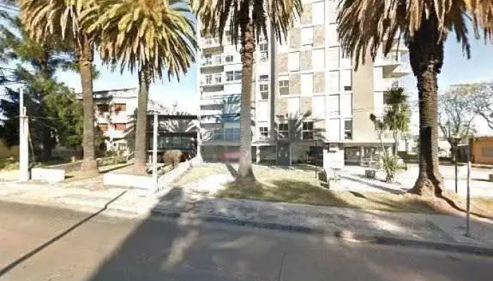 Papeleria Origami -  Preciosdeg - Montevideo